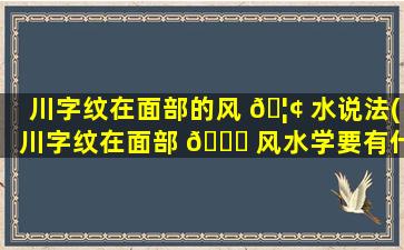 川字纹在面部的风 🦢 水说法(川字纹在面部 🐈 风水学要有什么影响)